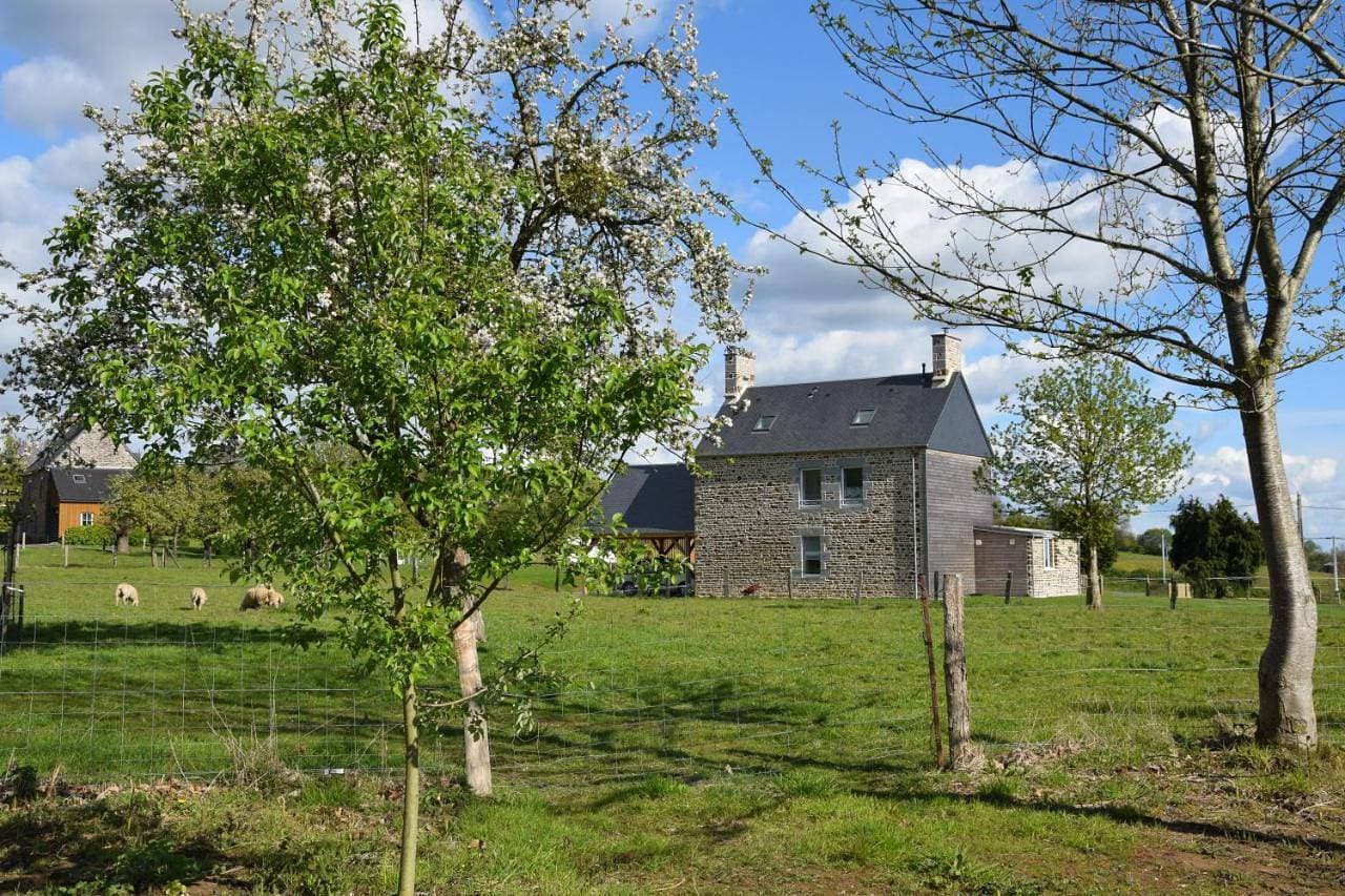 Foto 11 von 19: Three-Bedroom House