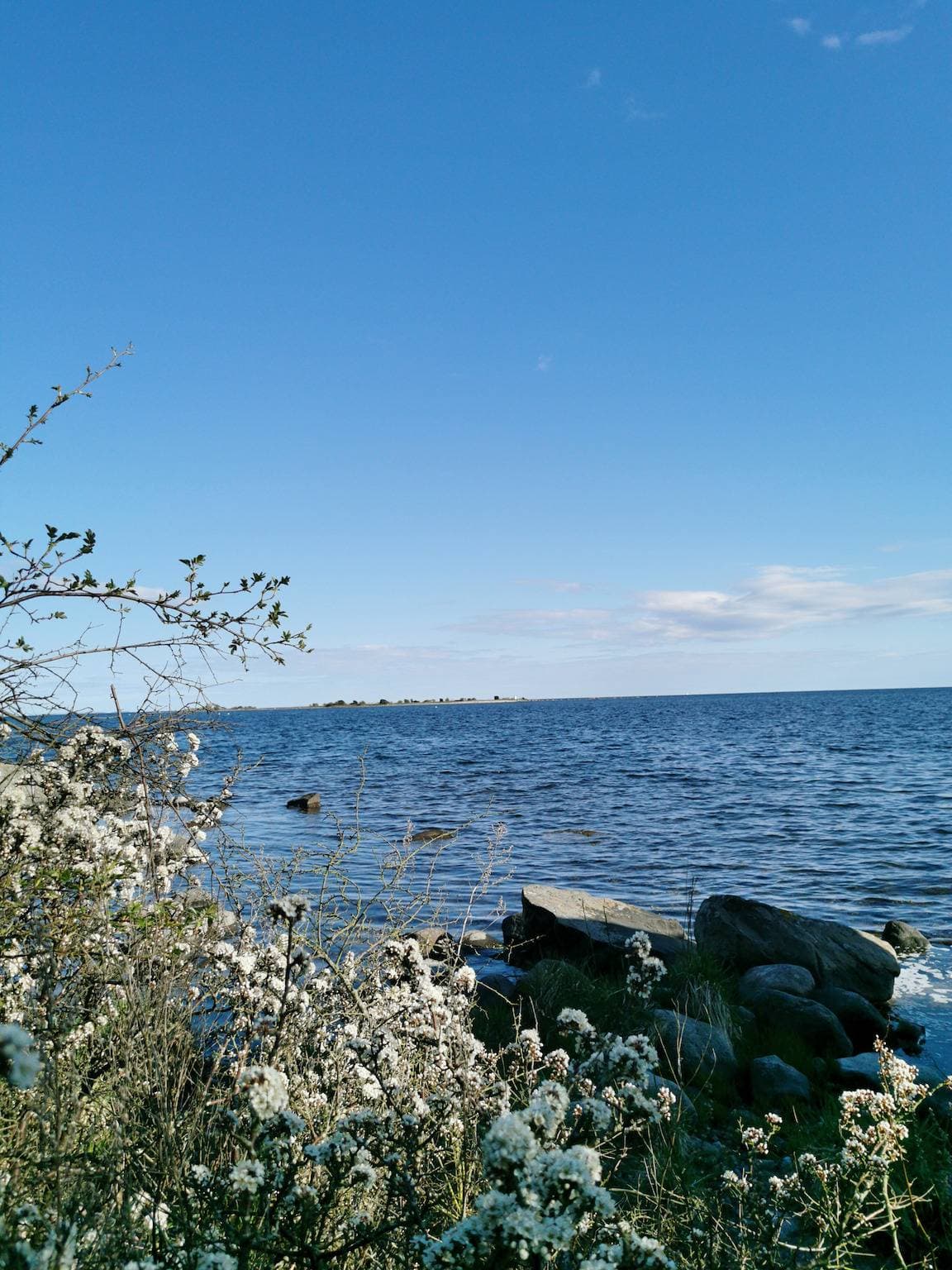 Foto 10 von 16: Auf einer Landzunge direkt am Wasser