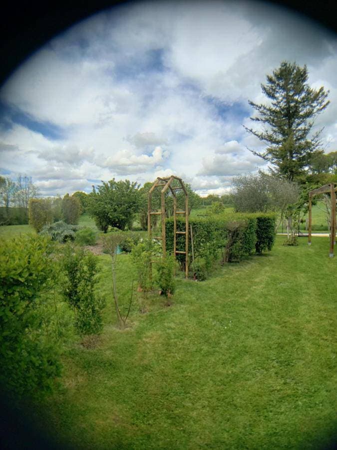 Foto 2 von 9: Double Room with Garden View