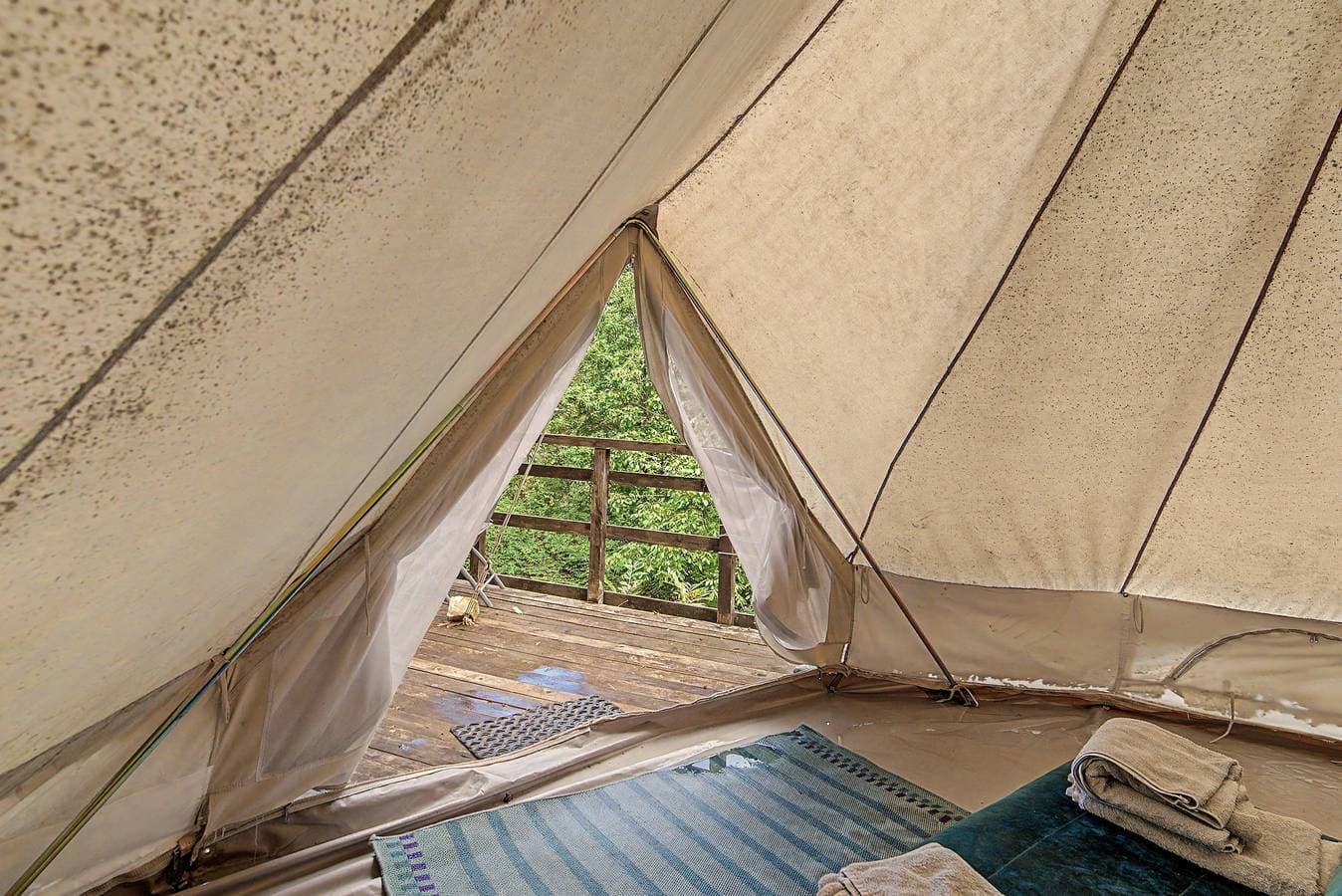 Foto 8 von 21: Glamping C Selva Tenda Quercia mit BBQ, Gemeinschaftspool und WLAN