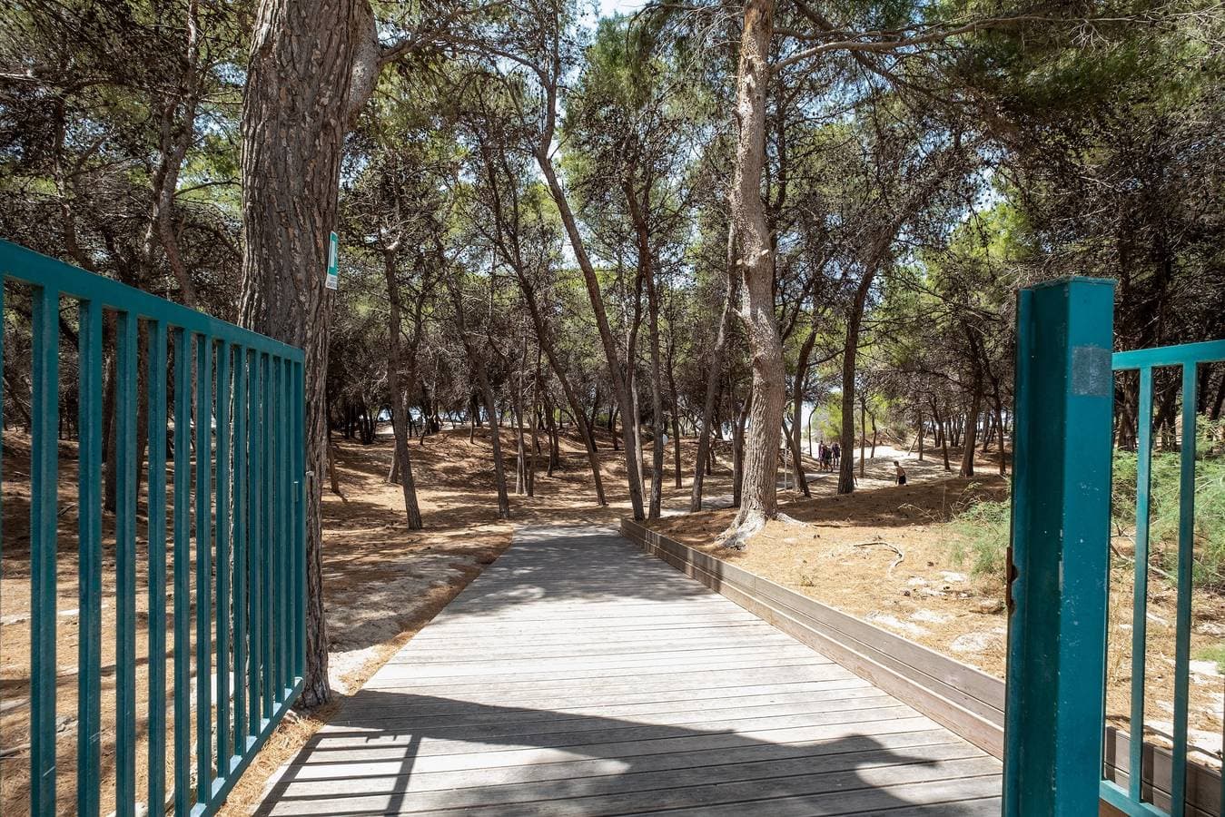 Foto 12 von 31: Ferienwohnung 'La Playa Rivabella' mit Meerblick, Balkon und Klimaanlage