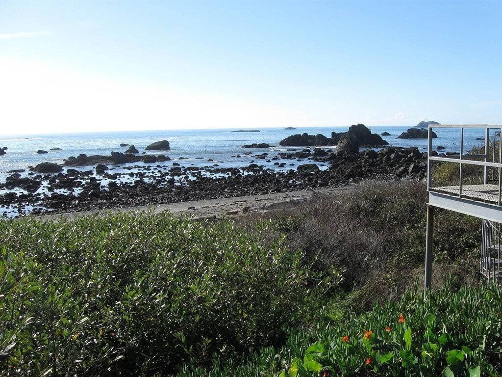 Foto 10 von 23: Lighthouse View Beach Cottage - Great Ocean View - die Redwoods sind nur eine kurze Autofahrt entfernt
