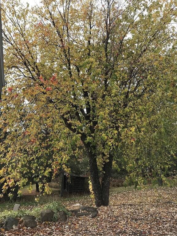 Foto 2 von 39: Neu renovierte Haus