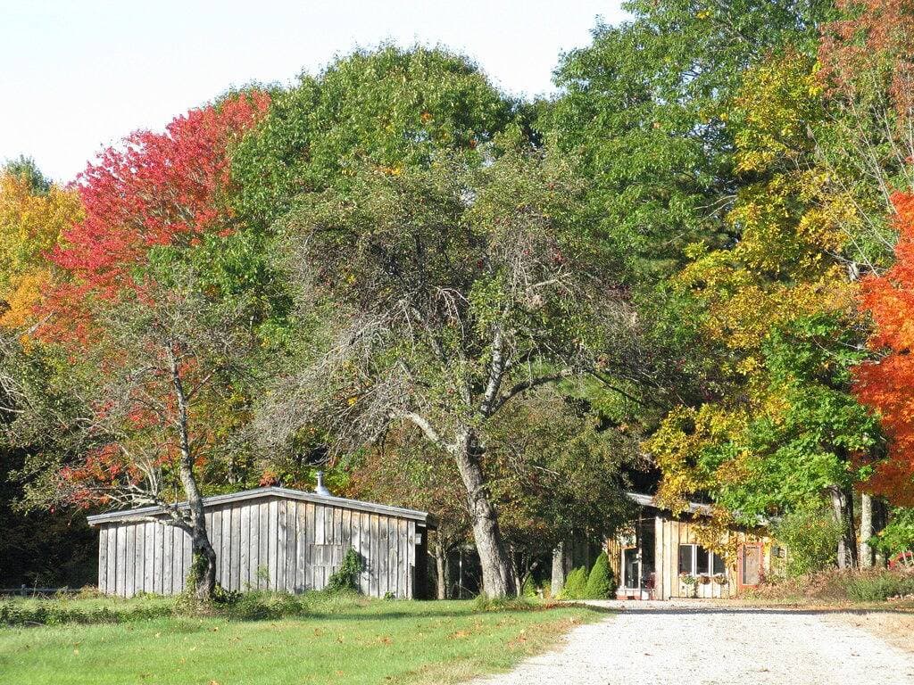 Foto 11 von 44: ** Wind-A-Brook Lodge ** Rustikal, Country Contemporary und gut ausgestattet!