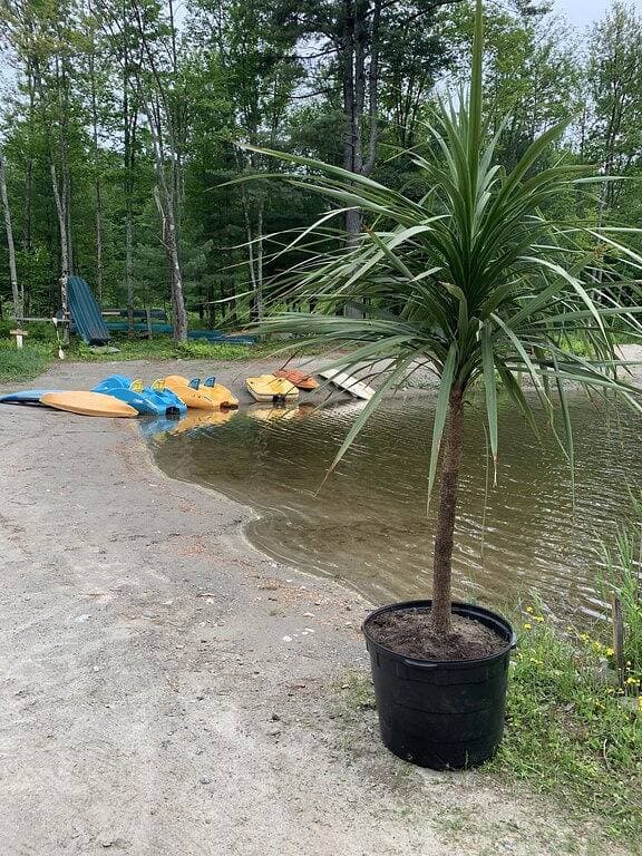 Foto 6 von 14: Chalet Le Manitou Paradis Sauvage