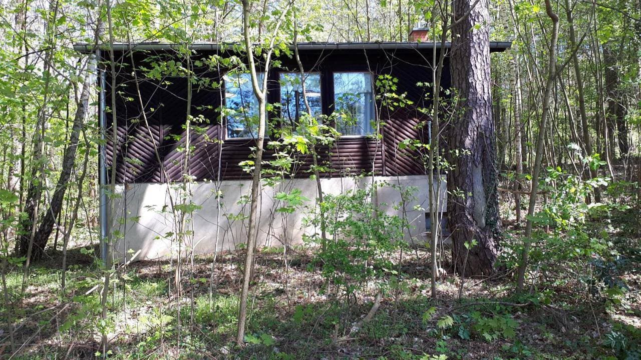 Foto 5 von 19: One-Bedroom House