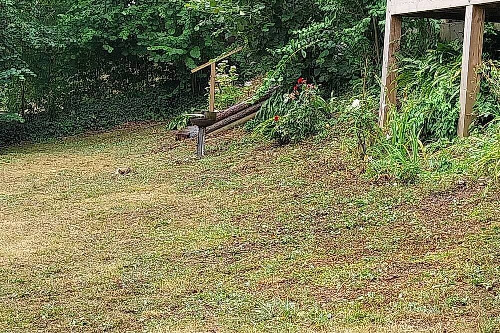 Foto 10 von 19: Maison en lisière de forêt au calme.