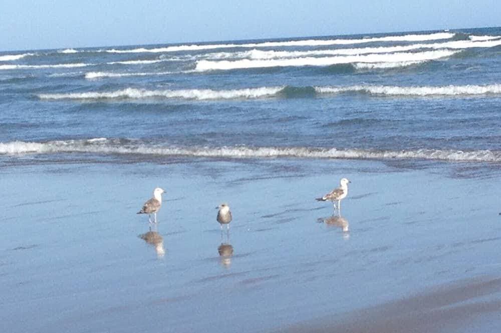 Foto 11 von 14: Erste Linie Strand-Luxuswohnung. Meerblick