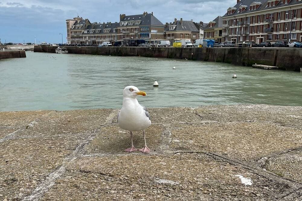 Foto 11 von 16: Charming sea house