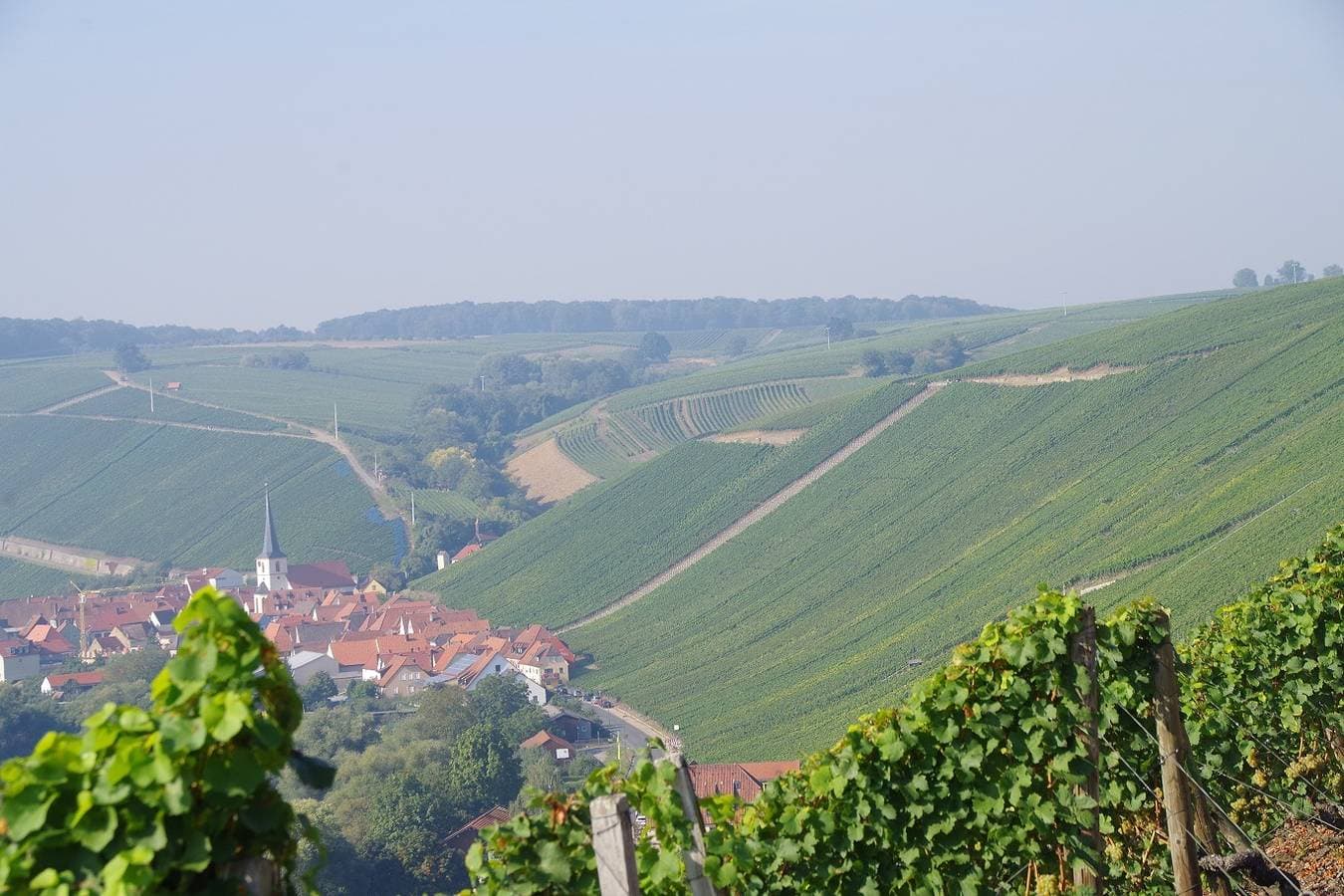 Foto 7 von 28: Weingut & Ferienwohnungen  Kirch - Appartement Riesling