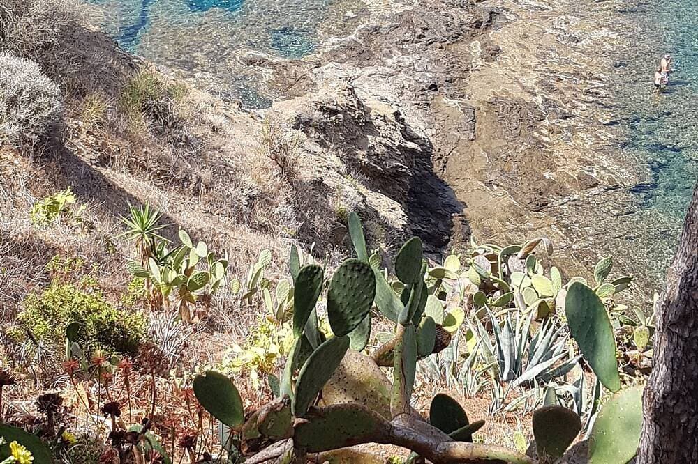 Foto 8 von 30: Elba Insel direkt am Meer schöne Aussicht Sonderangebot kostenloses WLAN