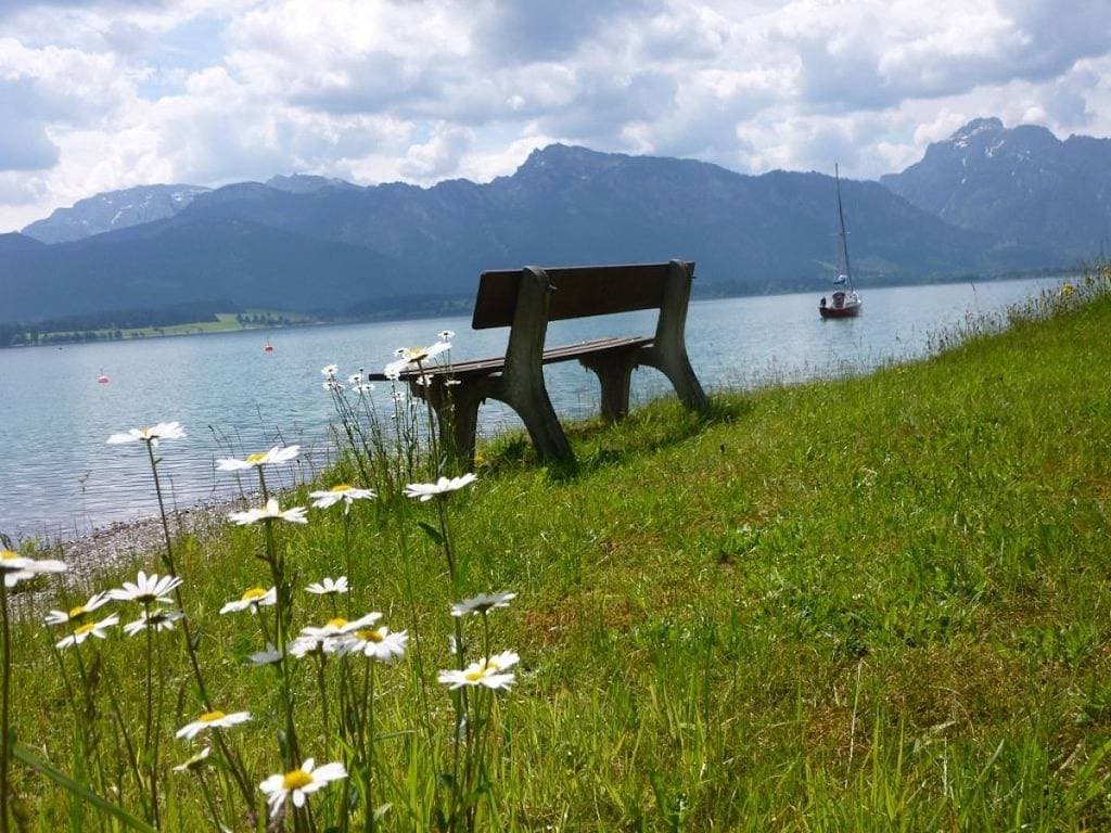 Foto 6 von 21: Hütte in Dietringen mit Schwimmbecken