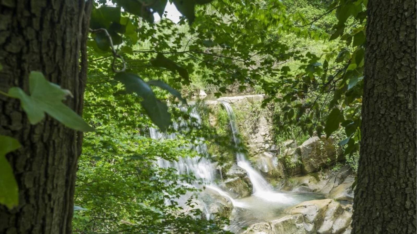 Foto 6 von 29: Villa für 8 Personen mit Pool