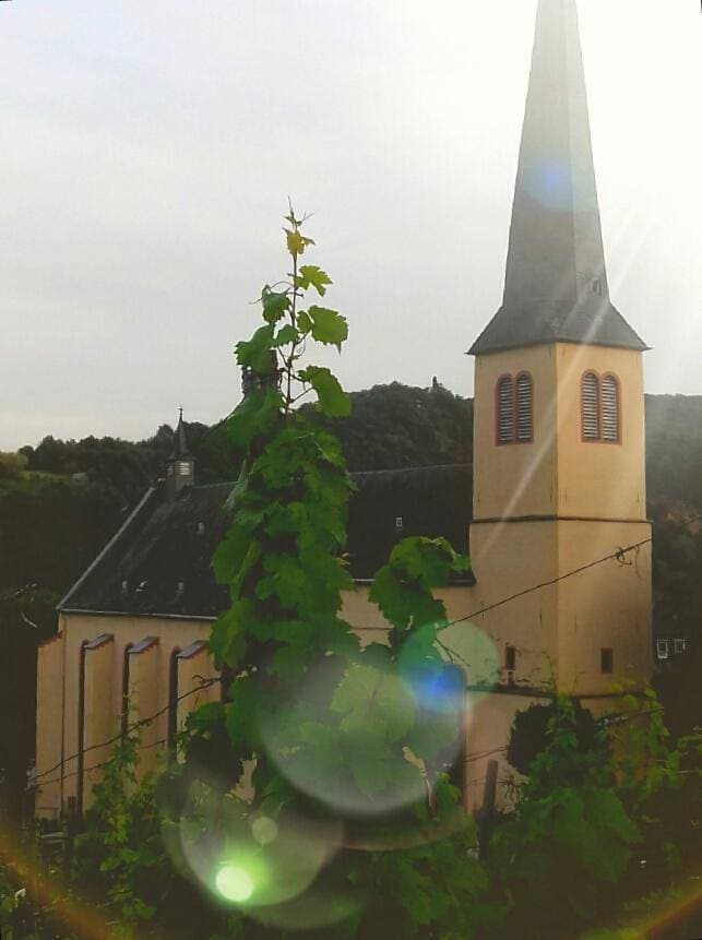 Foto 10 von 20: Doppelzimmer Dusche/Wc gartenseitig