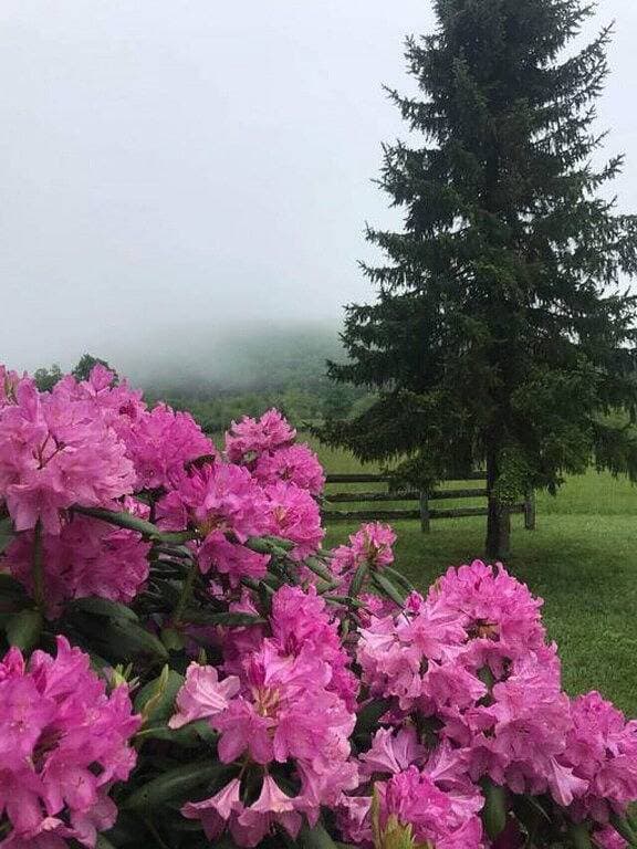 Foto 6 von 22: Perfekter Bungalo für Ihr Wochenende auf dem Parkway