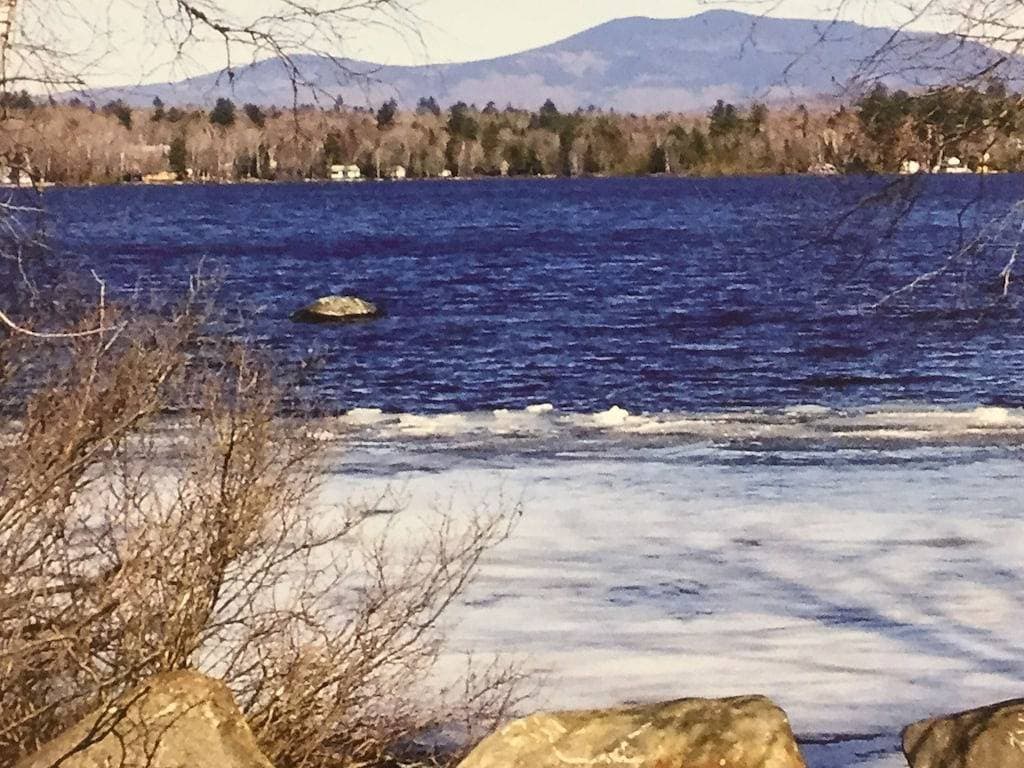 Foto 8 von 28: Der Sommer ist da!  Verbringen Sie es auf dem See!  Nur noch wenige Wochen offen!