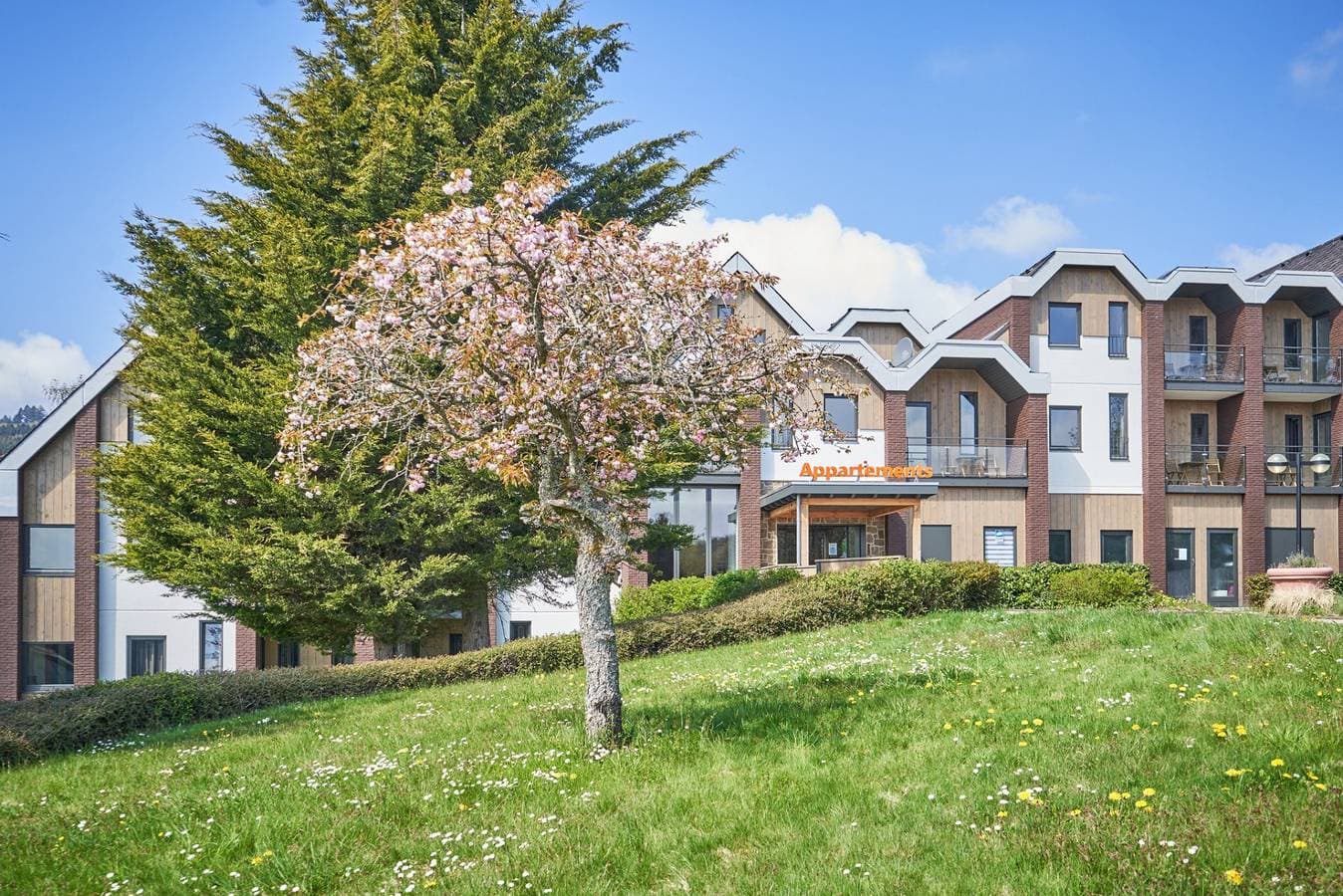 Foto 2 von 15: Ferienpark Hambachtal — Studio | 2 Personen