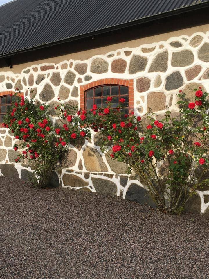 Foto 9 von 21: Holiday Home