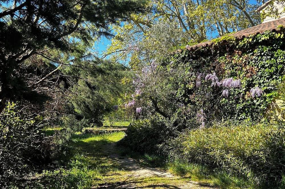 Mas Authentique Dans les Alpilles à 5 mn de Saint Rémy de Provence 1