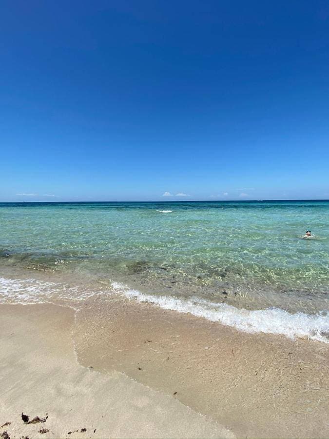 La Fenice sulla spiaggia 1