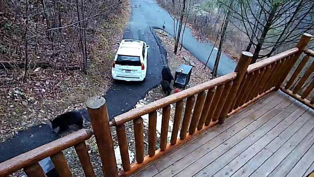 Foto 5 von 24: Just Enuff Cabin - 5 Star Wunderschöne Aussicht in Gatlinburg hat alles was Sie brauchen!