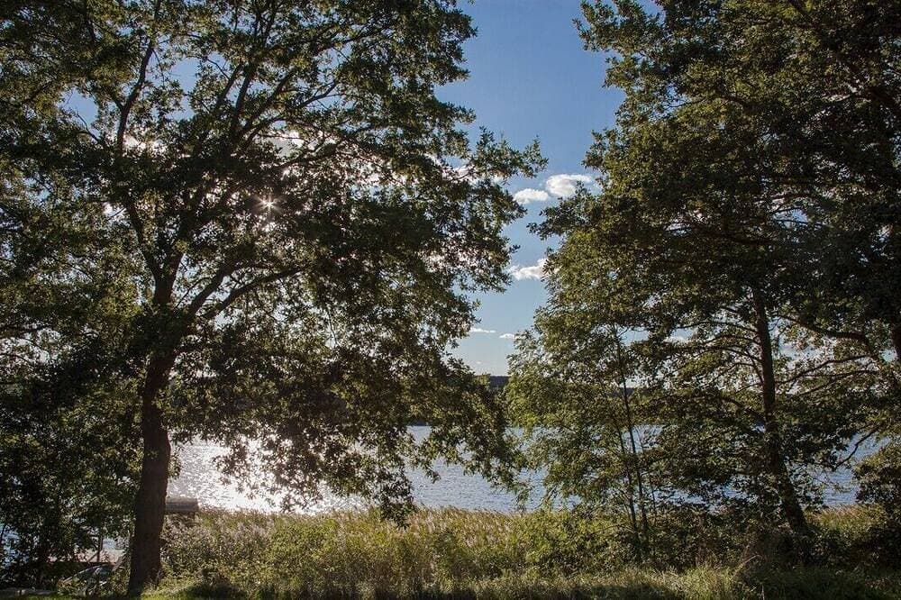 Foto 9 von 9: Ferienhaus direkt am See