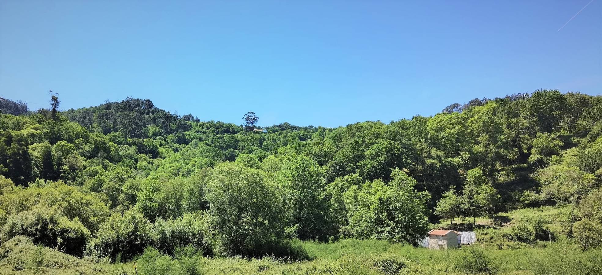 Foto 5 von 44: Cottage für 3 Personen mit Seeblick