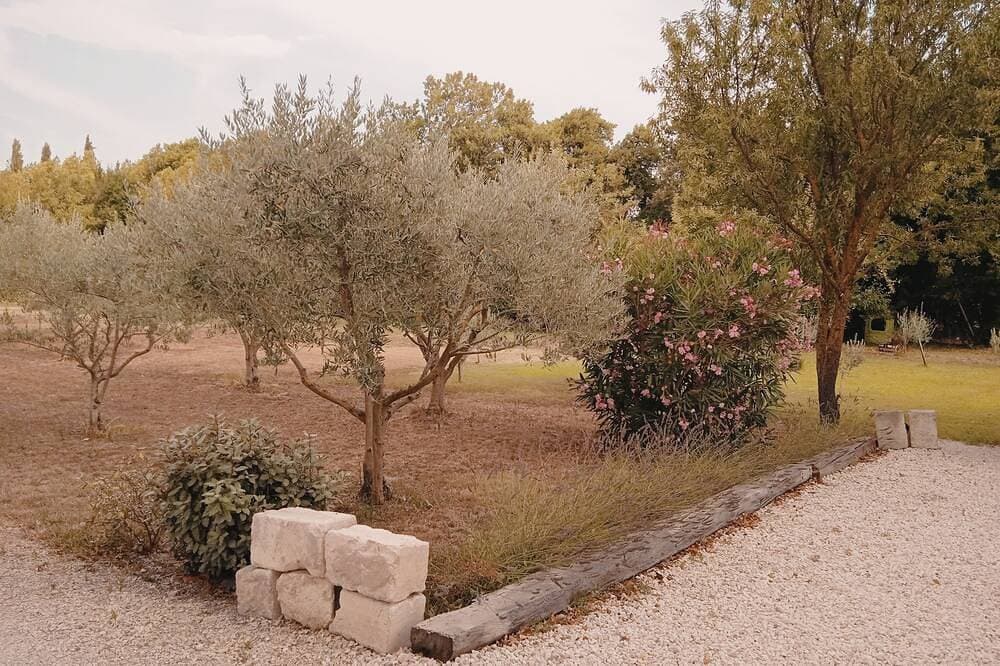 Foto 11 von 30: 18th century gite mas in Provence with Spa