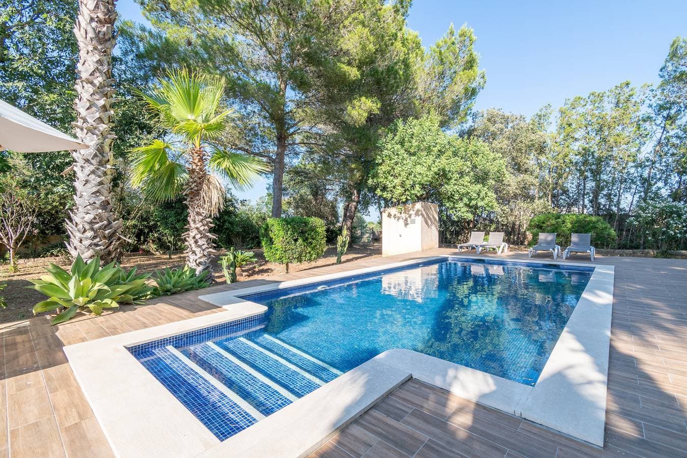Finca Santa Eulalia 1
