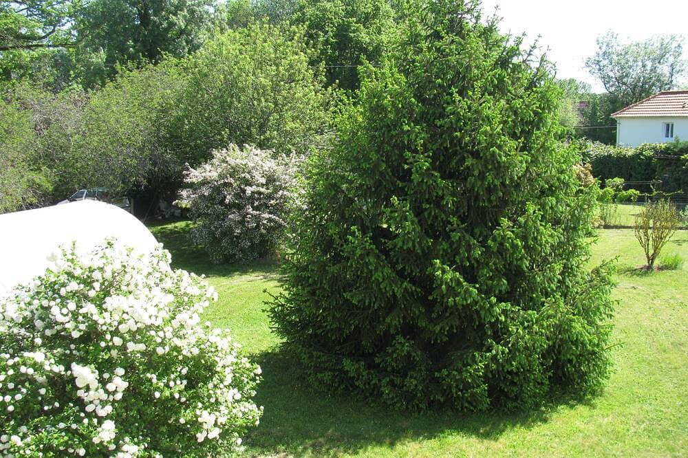 Foto 12 von 25: Im Perigord Noir Le Bugue Villa \"eingestuftes 3 ***\" in einem zur Schau getragenen und geblühten Garten.