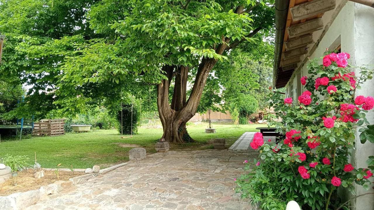 Foto 2 von 16: Deluxe Double or Twin Room with Garden View