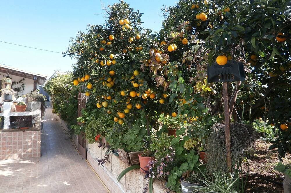 Foto 10 von 21: Ruhig gelegenes Ferienhaus in der Mitte einen Obstgarten