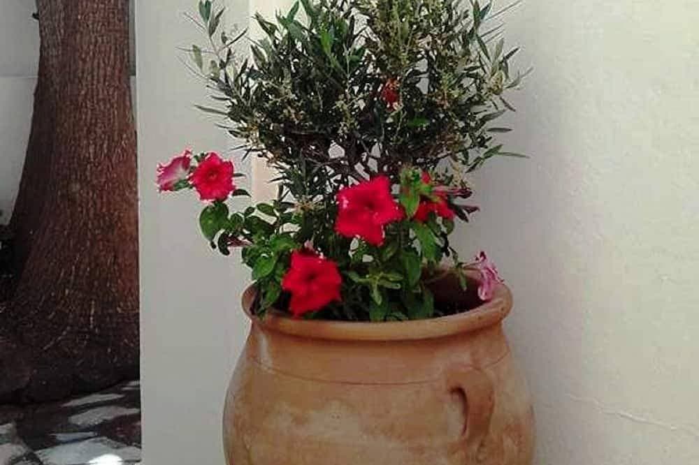 Foto 7 von 30: Ferienwohnung - Kokkini Hani Iraklio