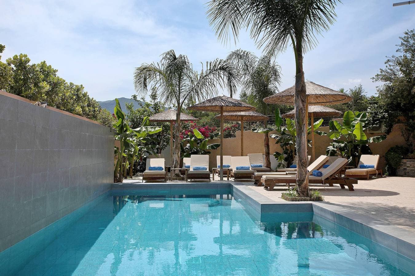 Villa Dionysia Apartment A2 1
