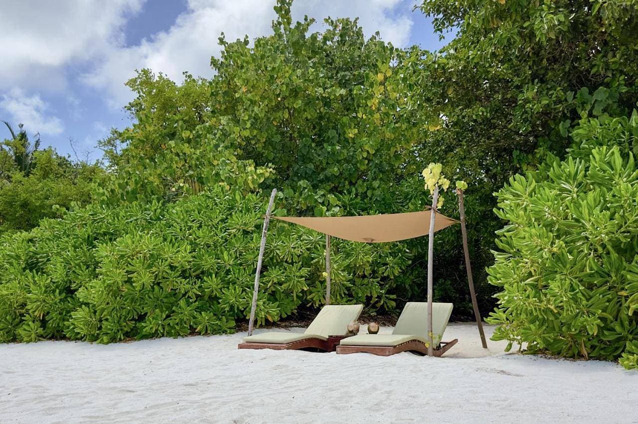 Foto 4 von 5: Coco Bodu Hithi - 50 percent off shared roundtrip Speedboat for stays from 1 May to September 2025