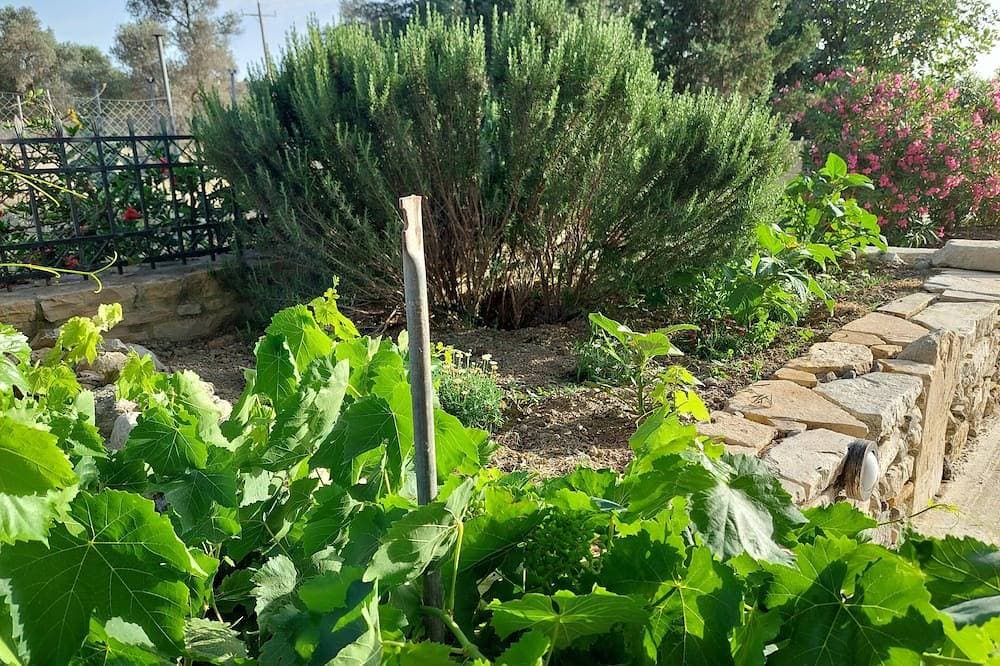 Foto 12 von 27: Ruhig gelegen, inmitten von alten Olivenbäumen mit privatem Pool und Garten!