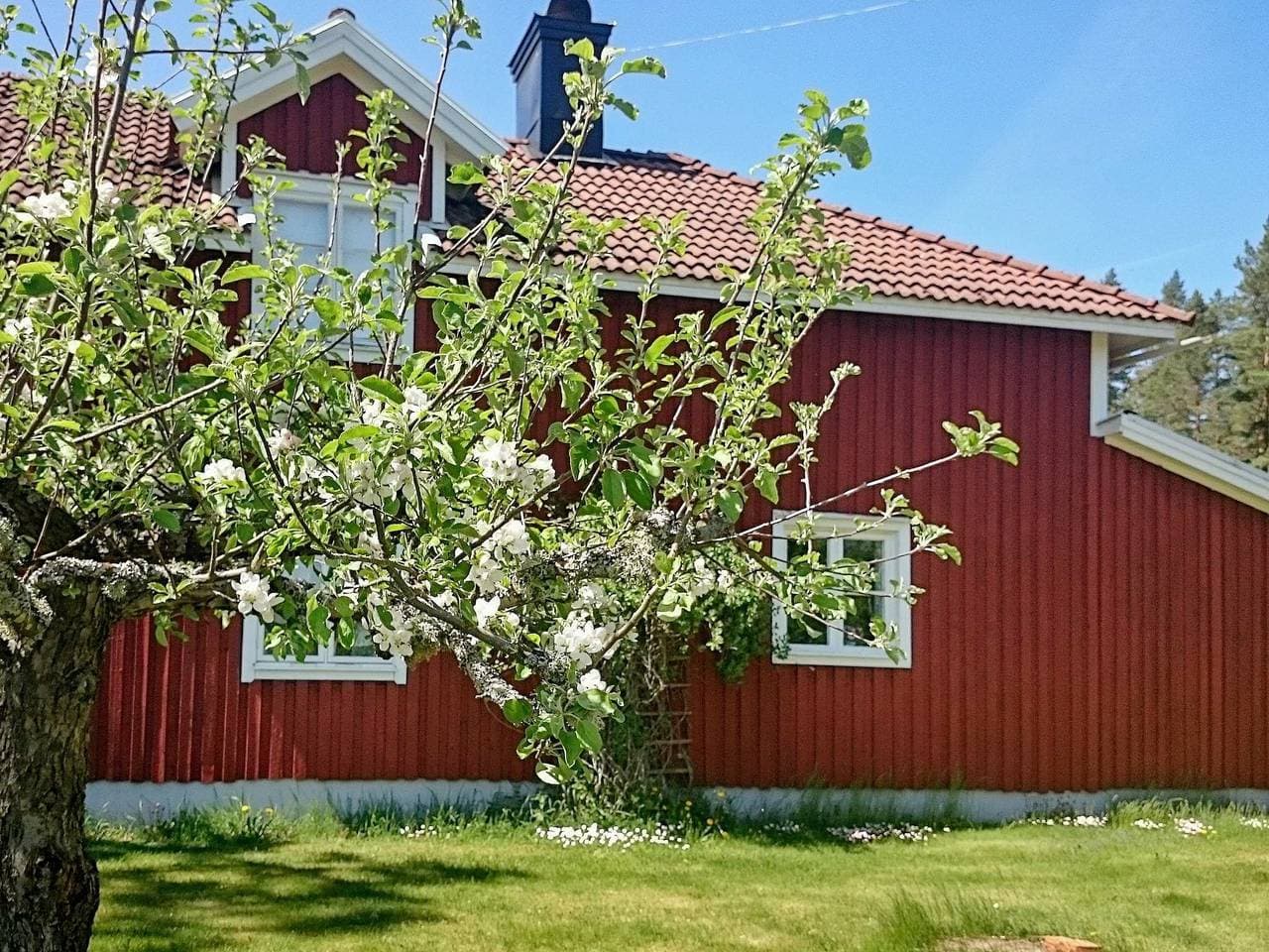 Foto 7 von 33: 5 Personen Ferienhaus in Gamleby