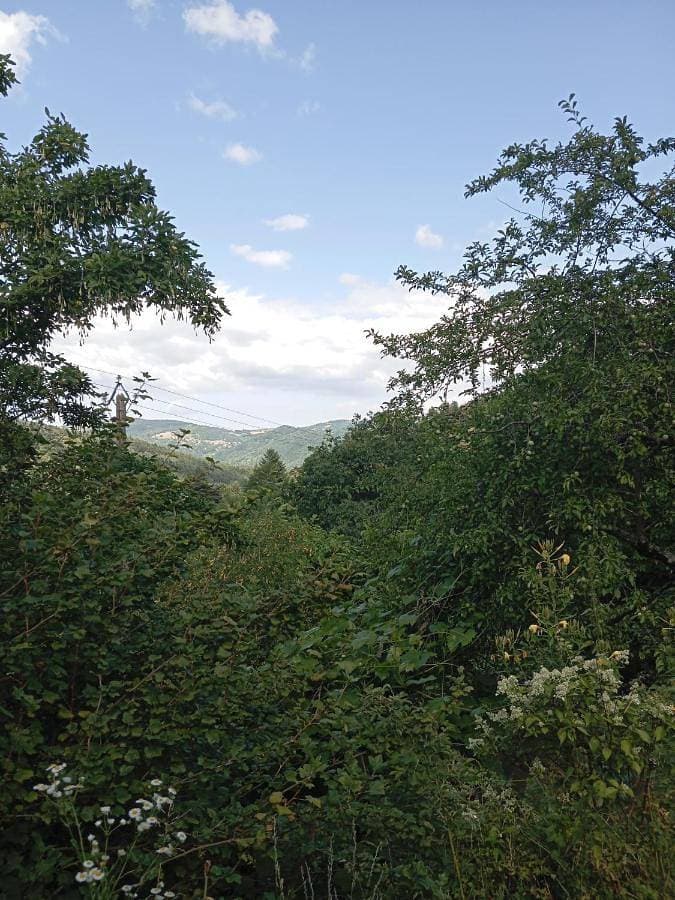 Foto 2 von 14: Double Room with Garden View