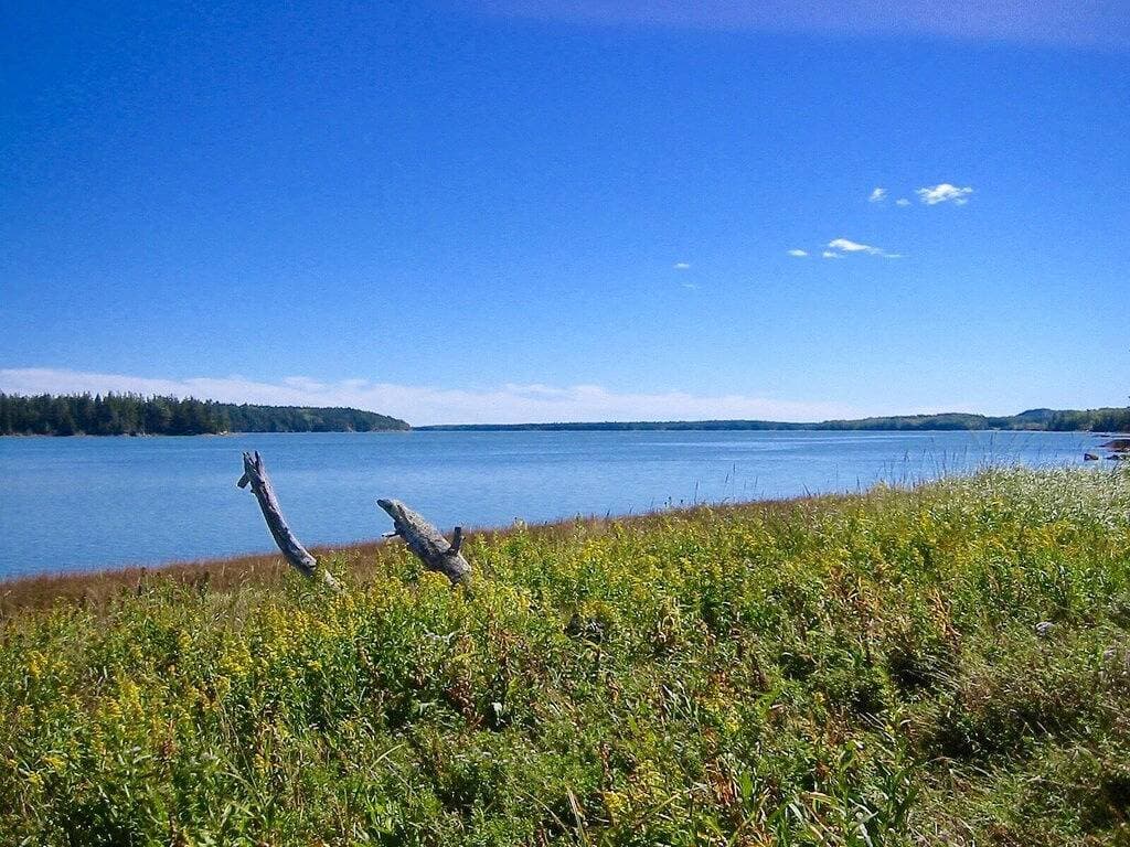 Foto 12 von 33: Charming Oceanfront Cottage-Great Views und 20 Meter vom Ufer
