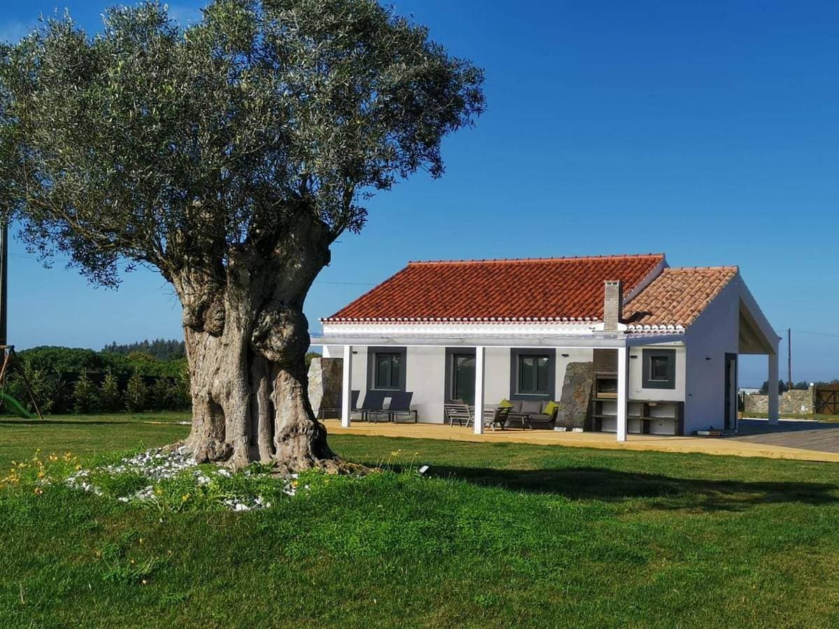 Kuanza Farmhouse and Lodge 1