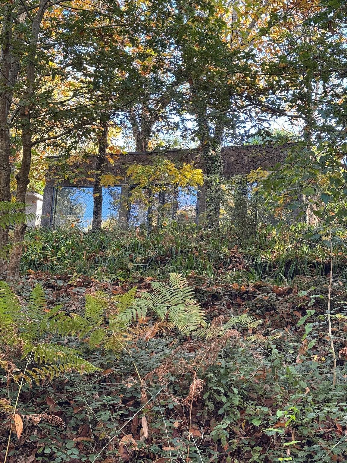 Foto 13 von 35: Suite Camélia mit Gemeinschaftspool und privatem Garten