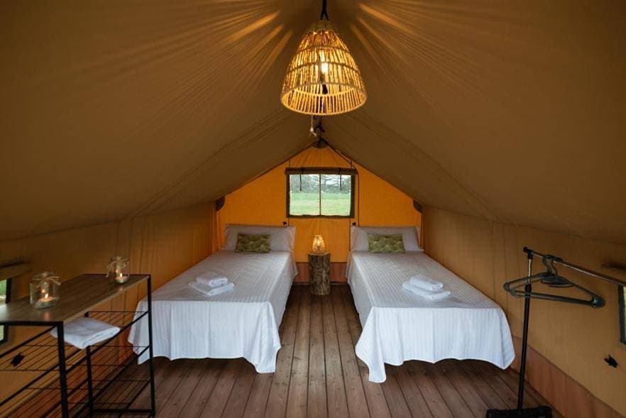 Foto 5 von 7: Tent