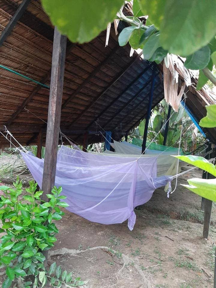 Foto 6 von 9: Hammocks in Room with Garden View (4 Adults)