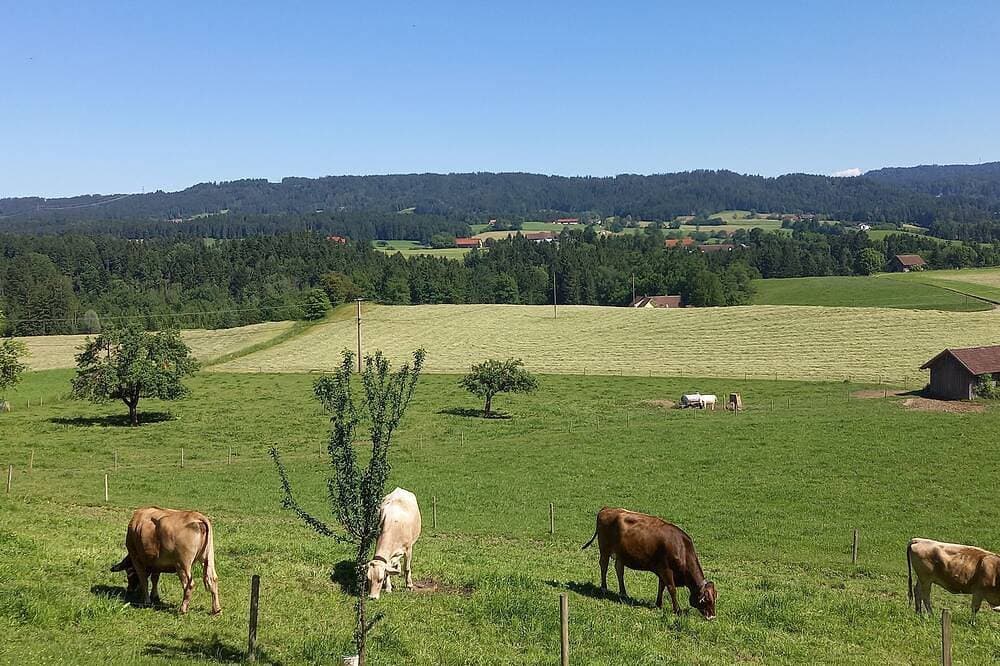 Foto 8 von 14: Ferienwohnung Bergsicht