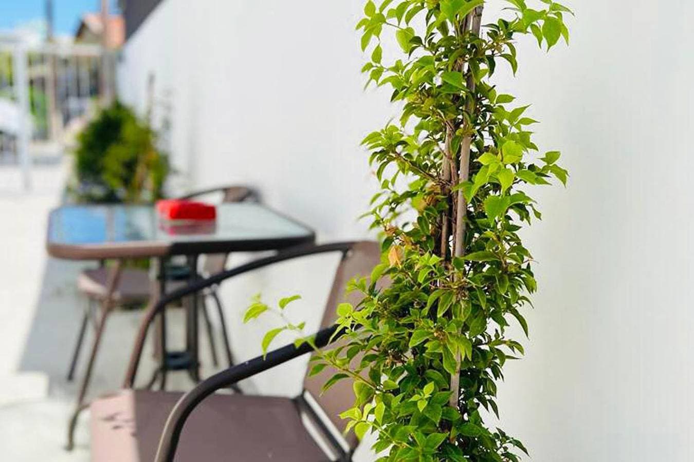 Foto 5 von 11: Studio für 4 Personen mit Terrasse
