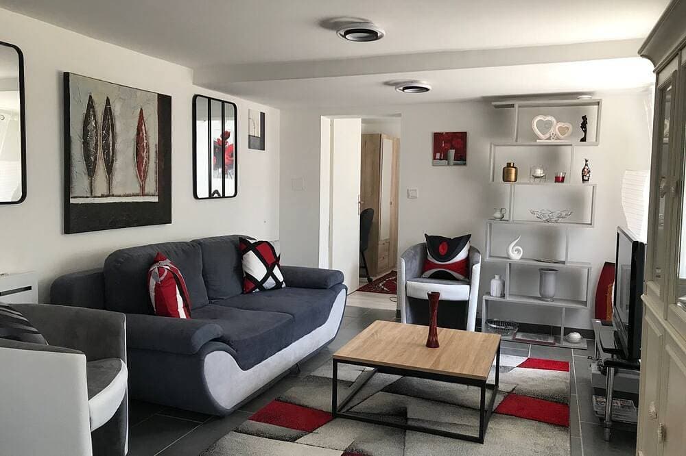 Cosy T3, large garden, 200 m from Parc St Nicolas, parking, Wifi Thd, Angers 1