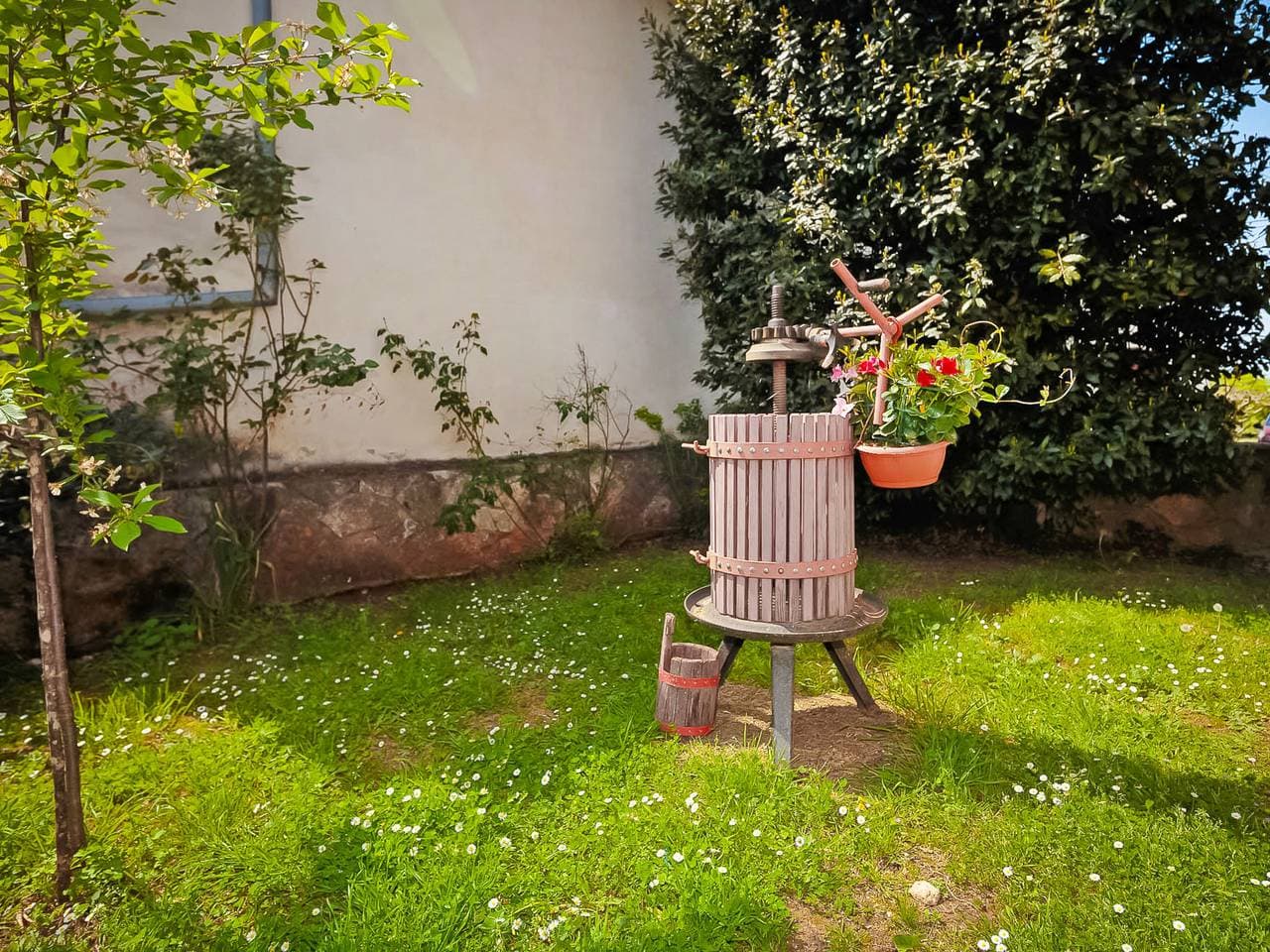 Foto 12 von 16: Lišera