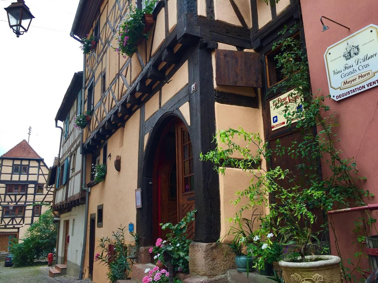 Foto 11 von 60: Wohnung in Riquewihr bei Weinbergen