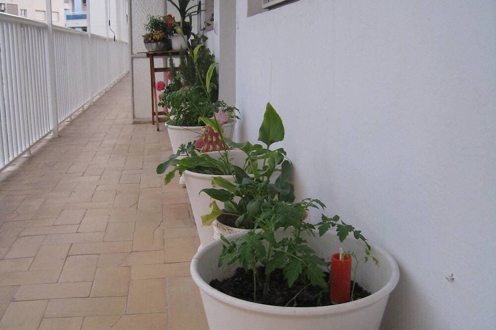 Foto 13 von 30: Direkt am Meer mit Charme Albir Apt (neben Altea, Benidorm); Wireless-Lan, Klimaanlage, Golf, Meerblick