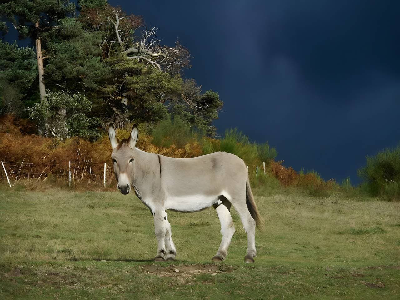 Foto 7 von 36: Gîte "au pas de l'âne" – Erholung im Naturpark Pilat